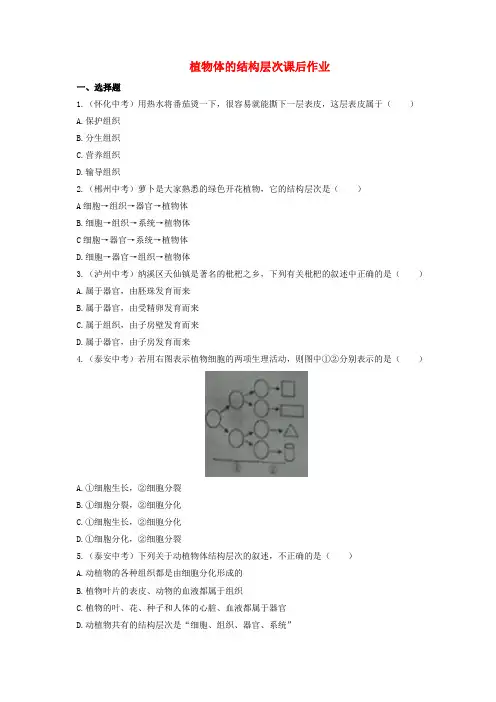 七年级生物上册2.2.3植物体的结构层次课后作业新版新人教版