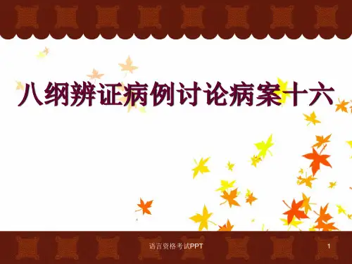 八纲辨证病例讨论病案十六