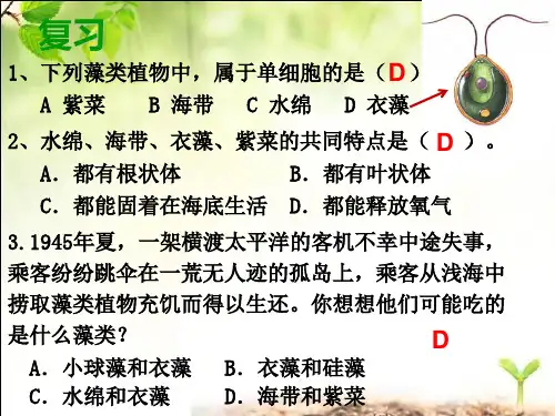 3.4苔藓植物和蕨类植物