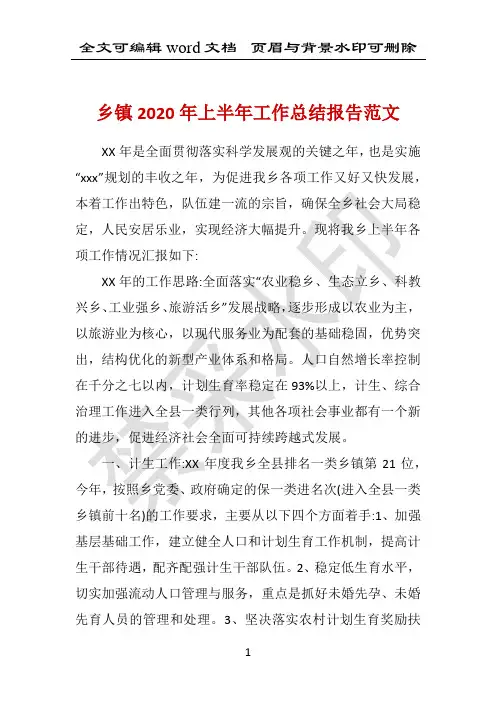 乡镇2020年上半年工作总结报告范文 