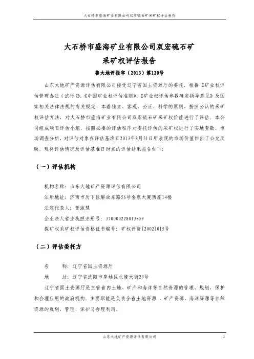 大石桥市盛海矿业有限公司双宏硫石矿 采矿权评估报告
