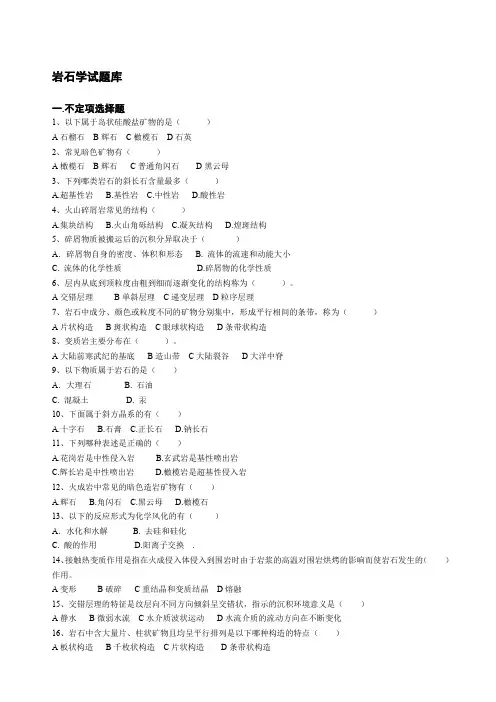 《岩石学》试题库