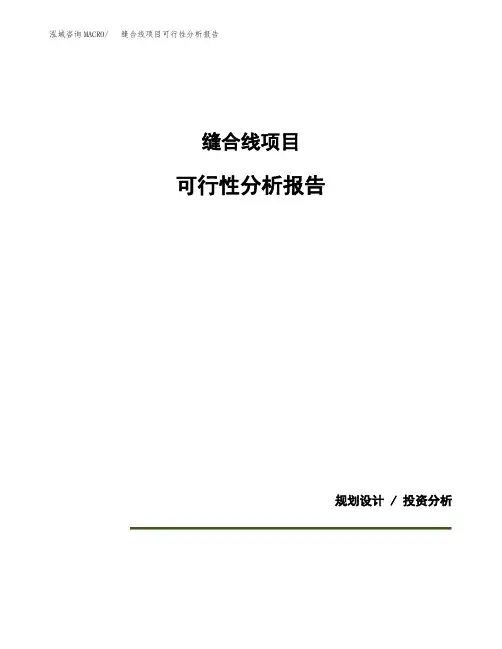 缝合线项目可行性分析报告(模板参考范文)