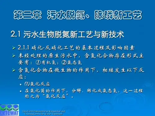 sAAA第二章 污水脱氮、磷新工艺