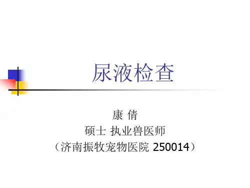 尿液检查详解