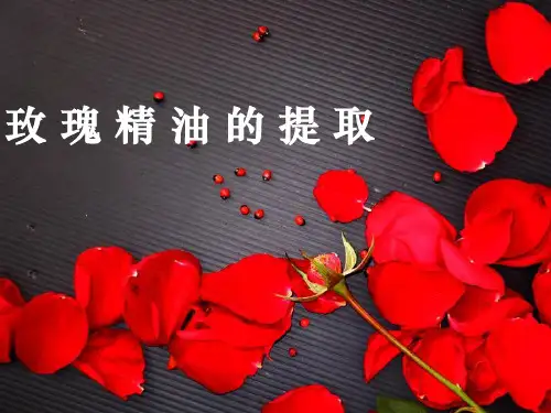 玫瑰精油的提取ppt课件
