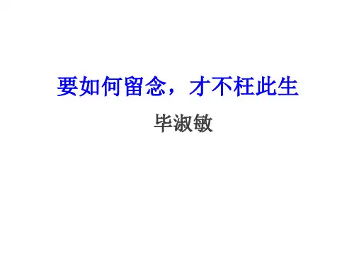 要如何留念才不枉此生