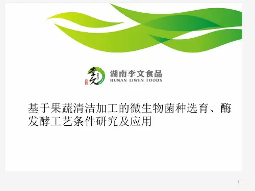 李文公司战略产业汇报PPT