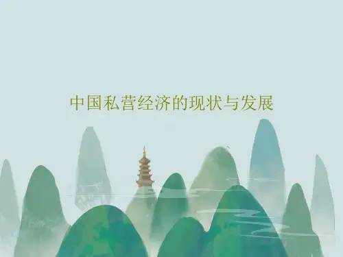 中国私营经济的现状与发展共39页文档