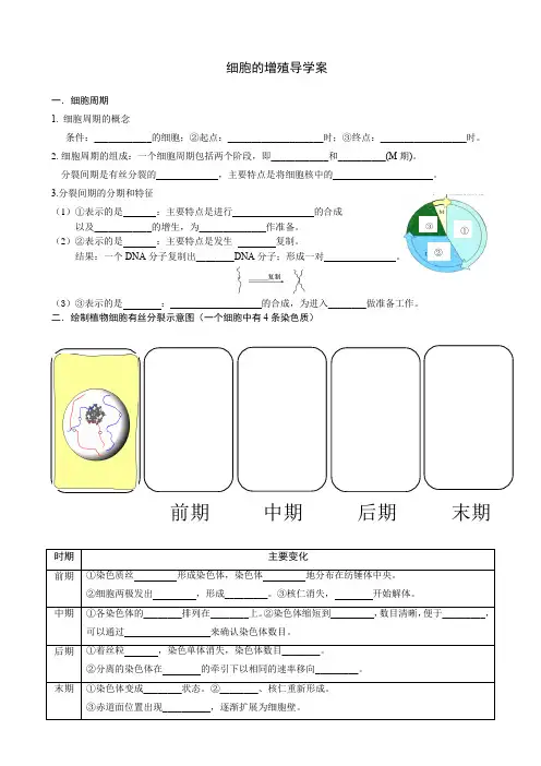 高中生物：细胞的增殖导学案