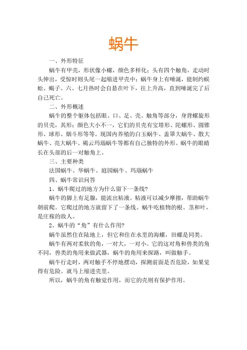 蜗牛的相关知识