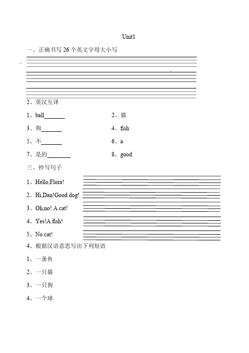 新概念英语青少版入门级A习题