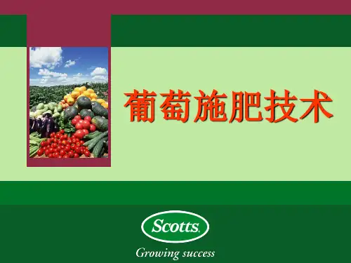葡萄科学合理的施肥技术