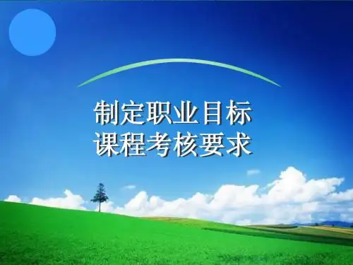 职业生涯规划考核要求