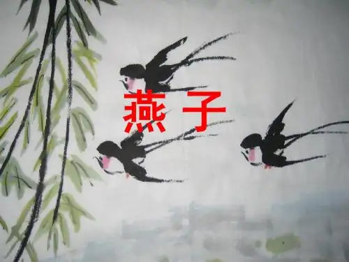 《燕子》PPT课件(苏教版四年级语文下册课件)