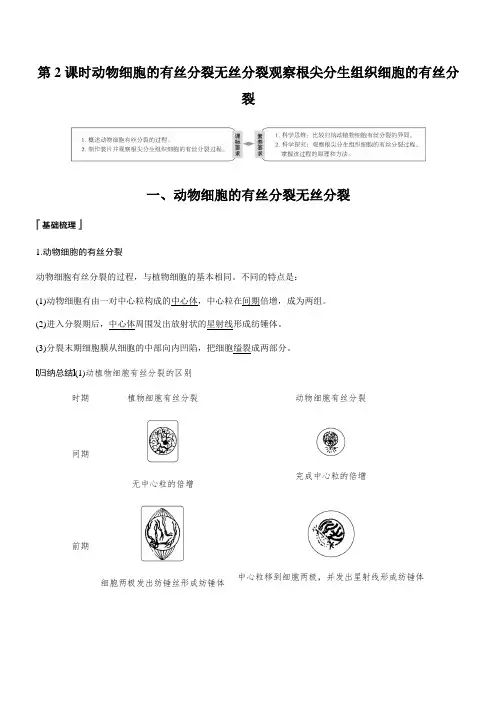 2019-2020学年人教版高中生物必修一第6章 细胞的生命历程 第1节 第2课时 Word版含答案