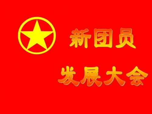 团员发展大会程序
