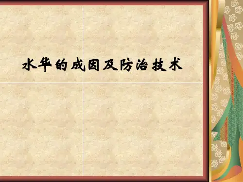 水华的成因及防治