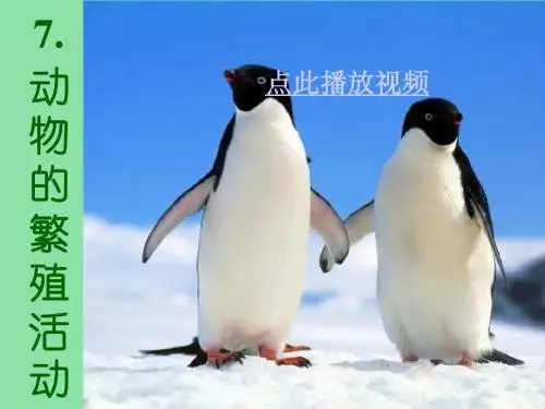 动物的繁殖活动要