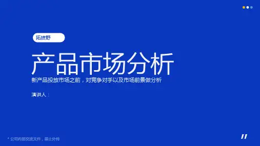 极致品牌——简约高端产品市场分析报告ppt模板