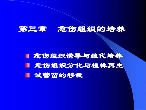 3-愈伤组织的培养