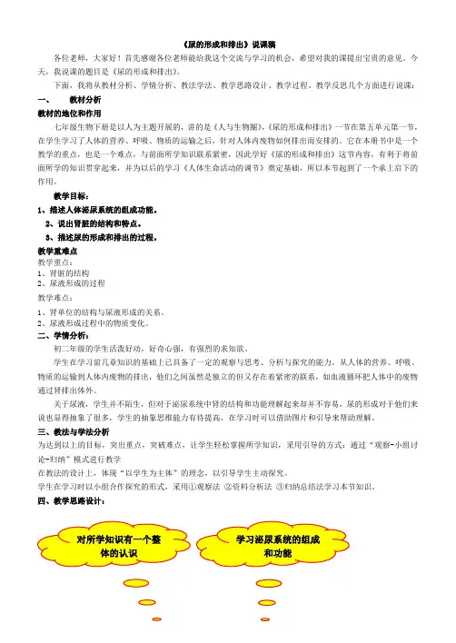 尿的形成和排出说课稿