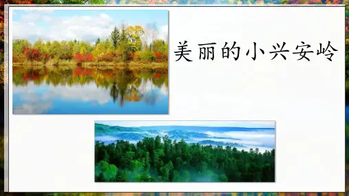 (完整版)美丽的小兴安岭 课件PPT