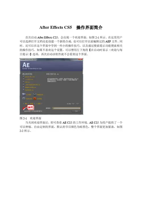 After Effects CS5  操作界面简介