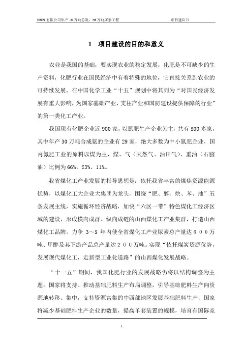 18万吨合成氨项目建设投资可行性分析报告