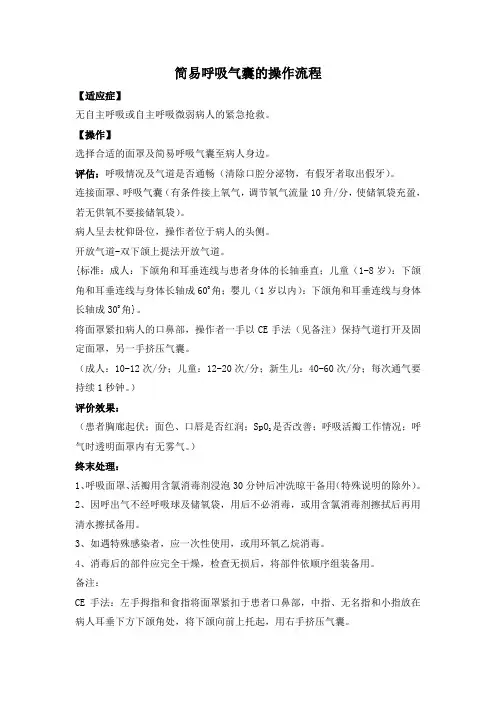 简易呼吸气囊操作流程 3