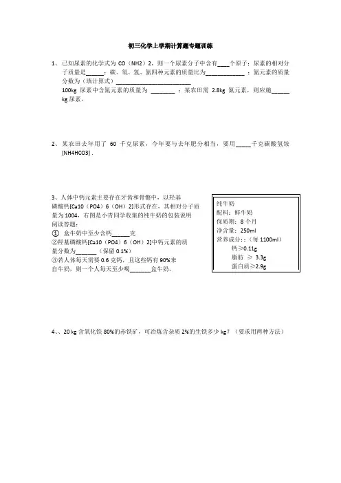 初三化学上学期计算题专题训练