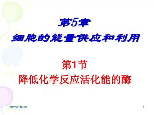5.1降低化学反应活化能的酶PPT优选课件