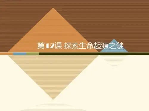第十二课探索生命起源之谜