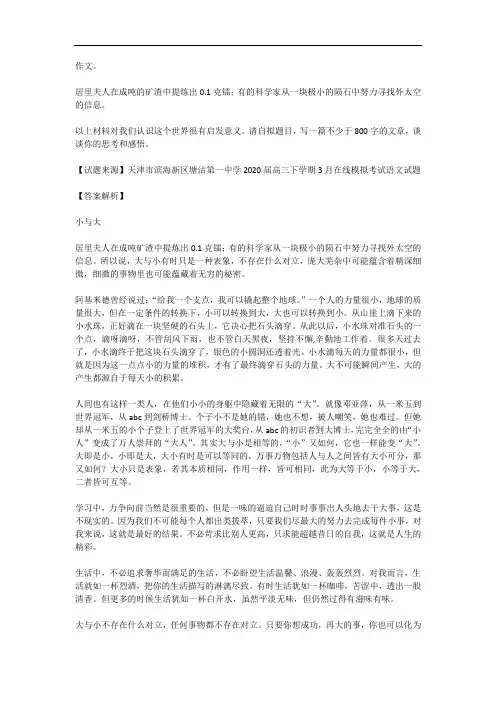 高考语文满分作文范例及解析--小与大