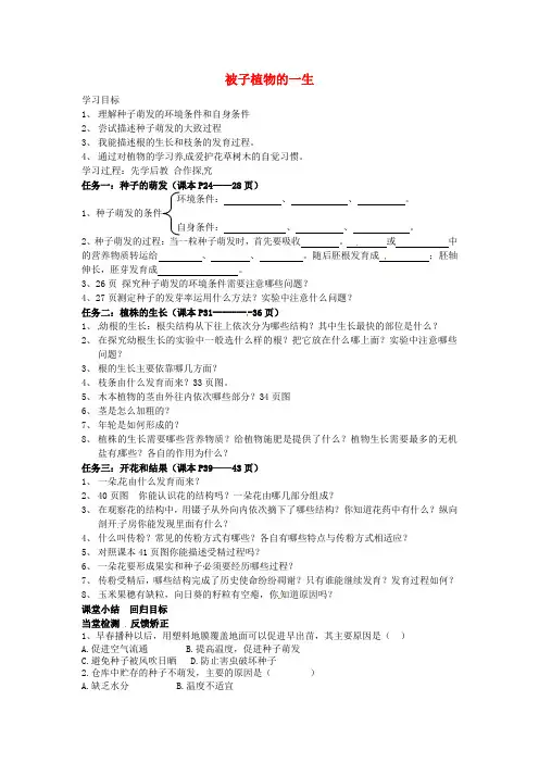 七年级生物下册 3.2 被子植物的一生导学案 鲁科版