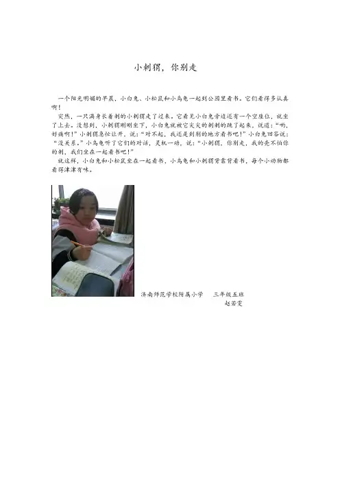 小刺猬,你别走