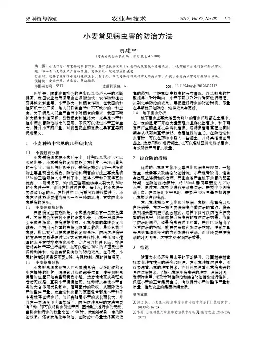 小麦常见病虫害的防治方法