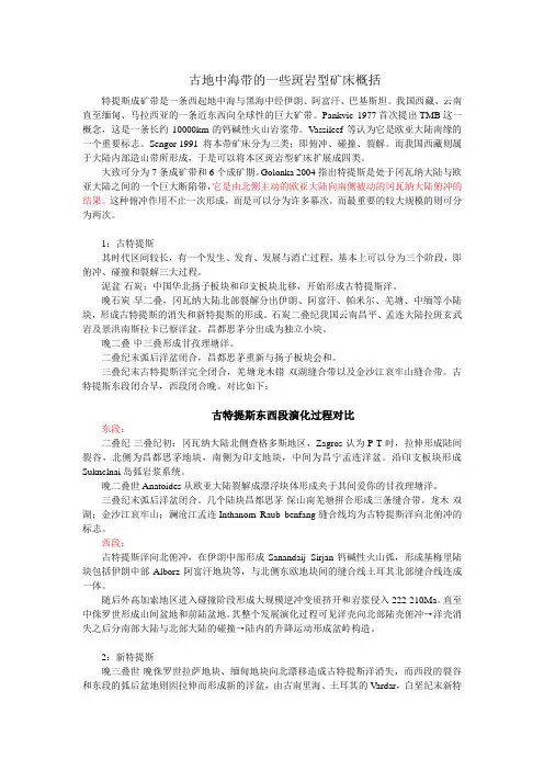 古地中海带的一些斑岩型矿床概括