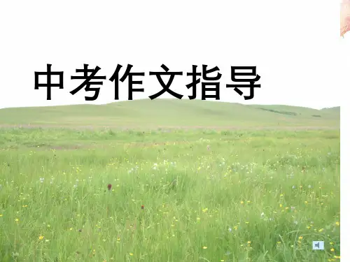 中考作文指导
