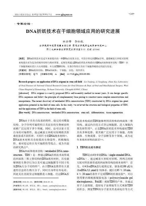 DNA折纸技术在干细胞领域应用的研究进展