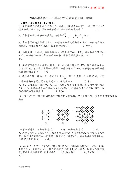 人教版六年级数学小升初综合素质测试卷