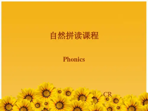 【通用版】小升初英语复习:语音-英语字母自然拼读课件