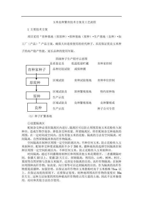 玉米良种