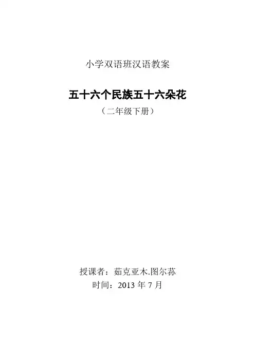 五十六个民族五十六朵花 2