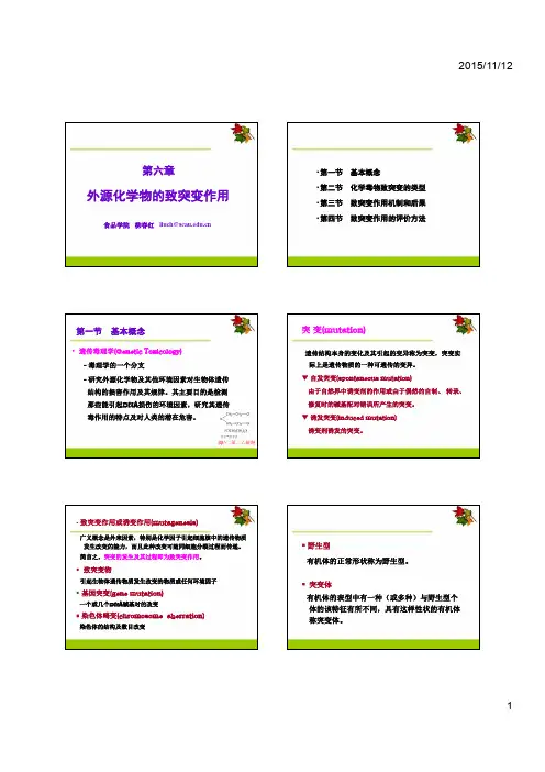 外源化学物质突变作用