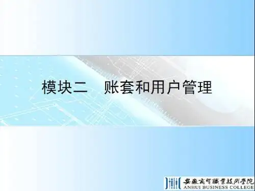 会计电算化账套与用户(PPT 45张)