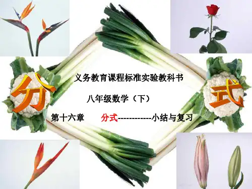 分式复习