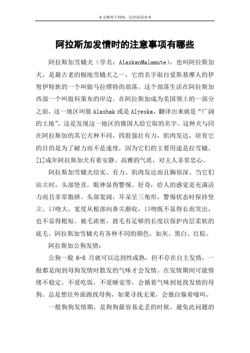 阿拉斯加发情时的注意事项有哪些