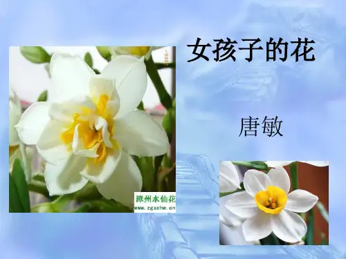 女孩子的花ppt