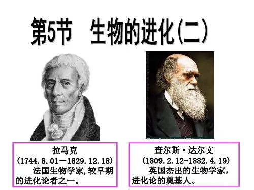 生物的进化第二课时